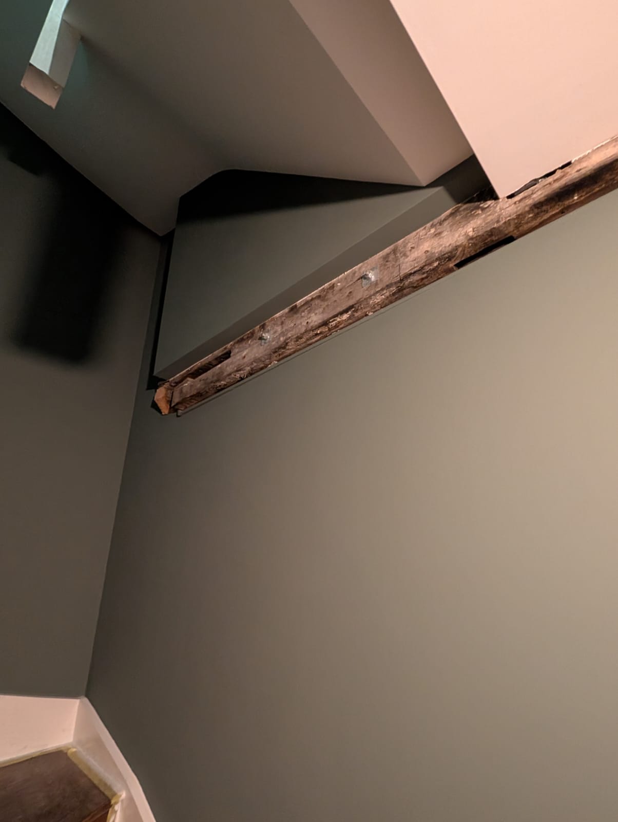 Victorian room heritage colours Norwich